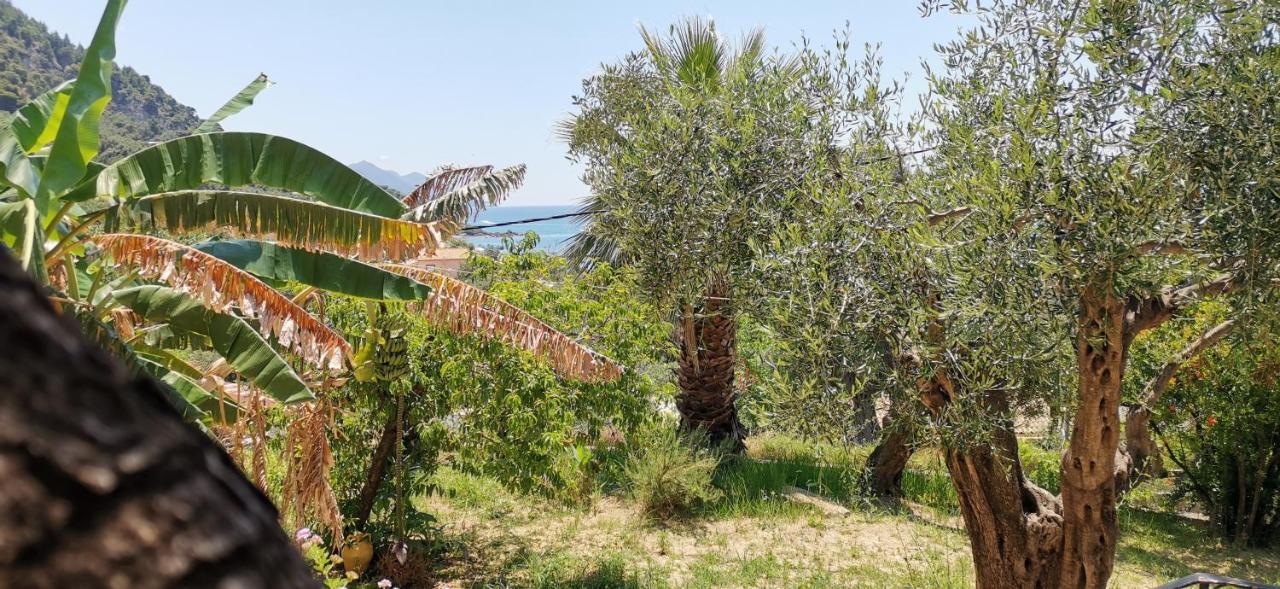 Appartement Rolling Stone Pelekas